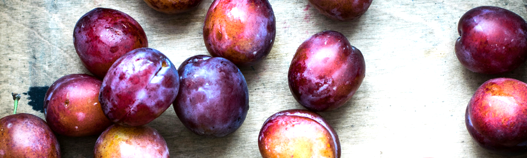 PLUM HARVEST