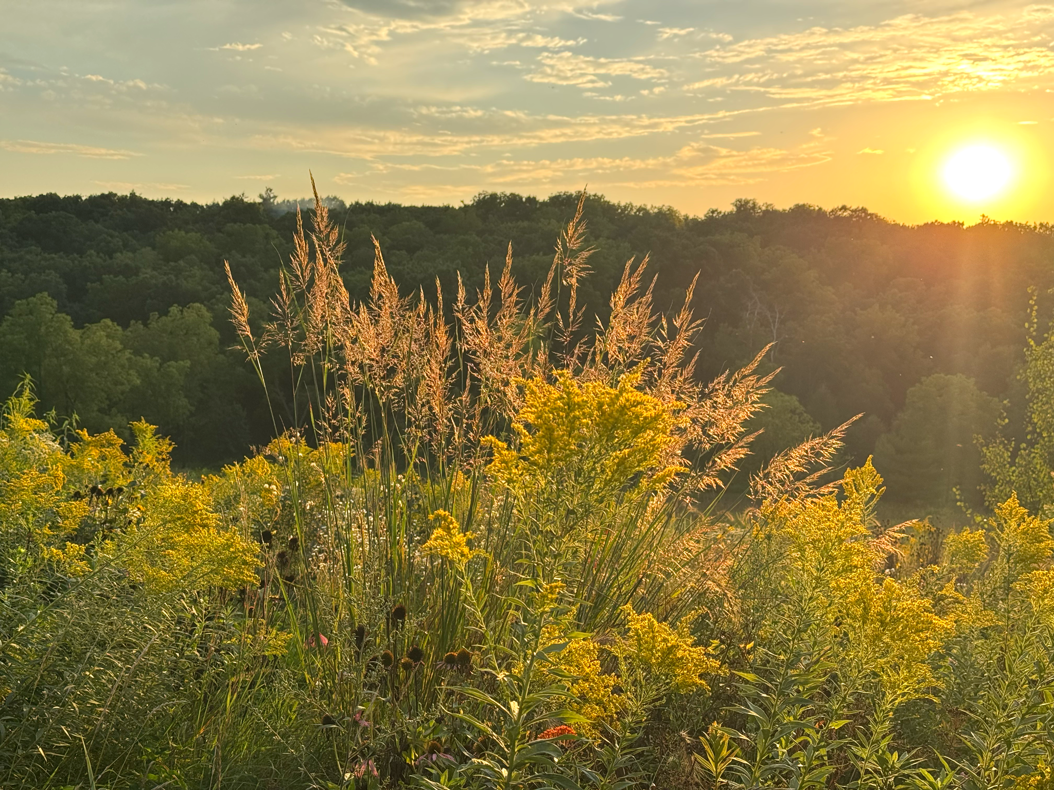 September at Black Barn Apiary  Fall Beekeeping, Gifting & Buckthorn Honey