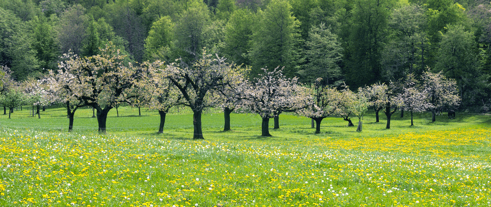 APRIL