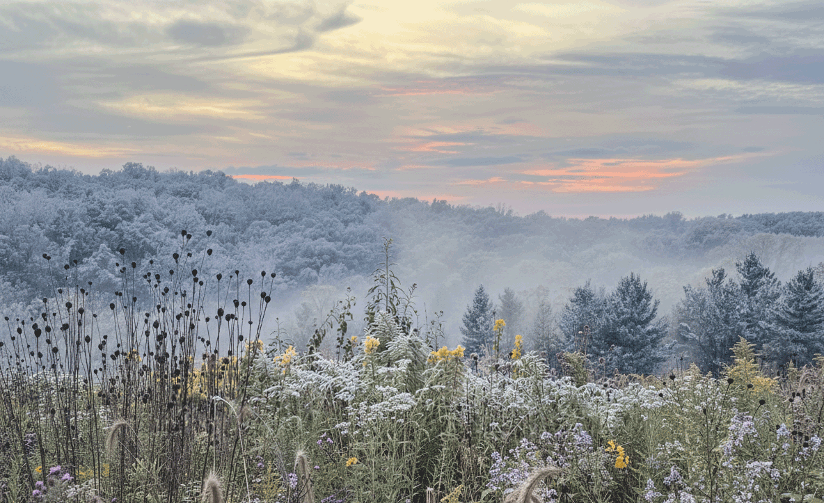 View from Black Barn Apiary Prairie in Winter