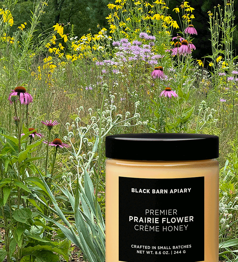 black seed flower honey Prairie Flower Crème Honey
