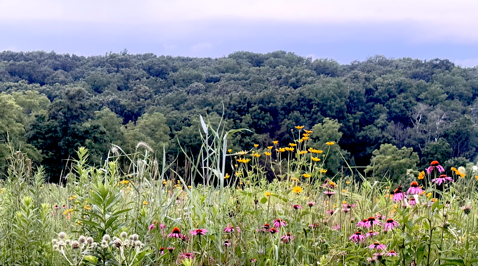 HEADER_PRAIRIE_VIEW_2_copy.png