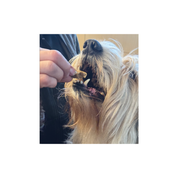 IMMUNE WELLNESS PRO™ SIX MUSHROOM CRÈME HONEY