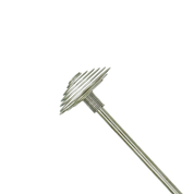 Close-up macro view of Japanese honey dipper spiral design