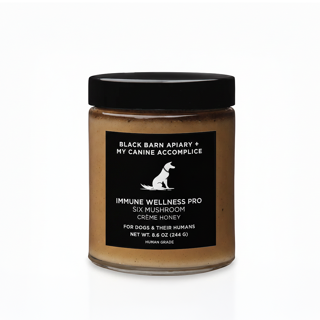 Jar_of_Immune_Wellness_Pro_Six_Mushroom_Creme_Honey_with_a_black_label_on_a_white_background.png
