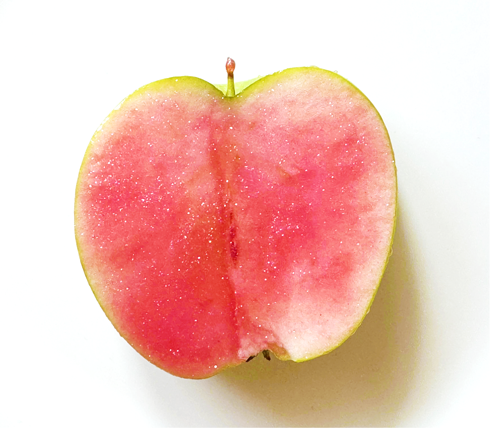 NEW_PNK_APPLE-copy.png
