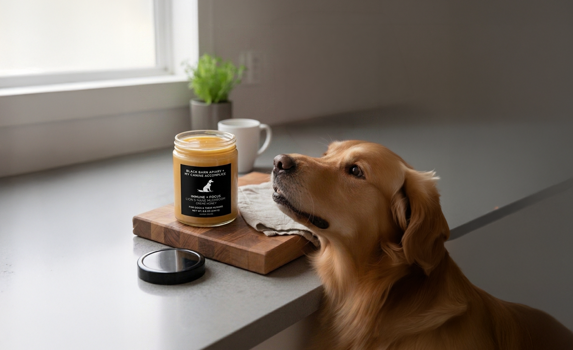 dog-unnamed_8ce4dfd6-e198-47e7-bc07-23ed3beac3e9.png