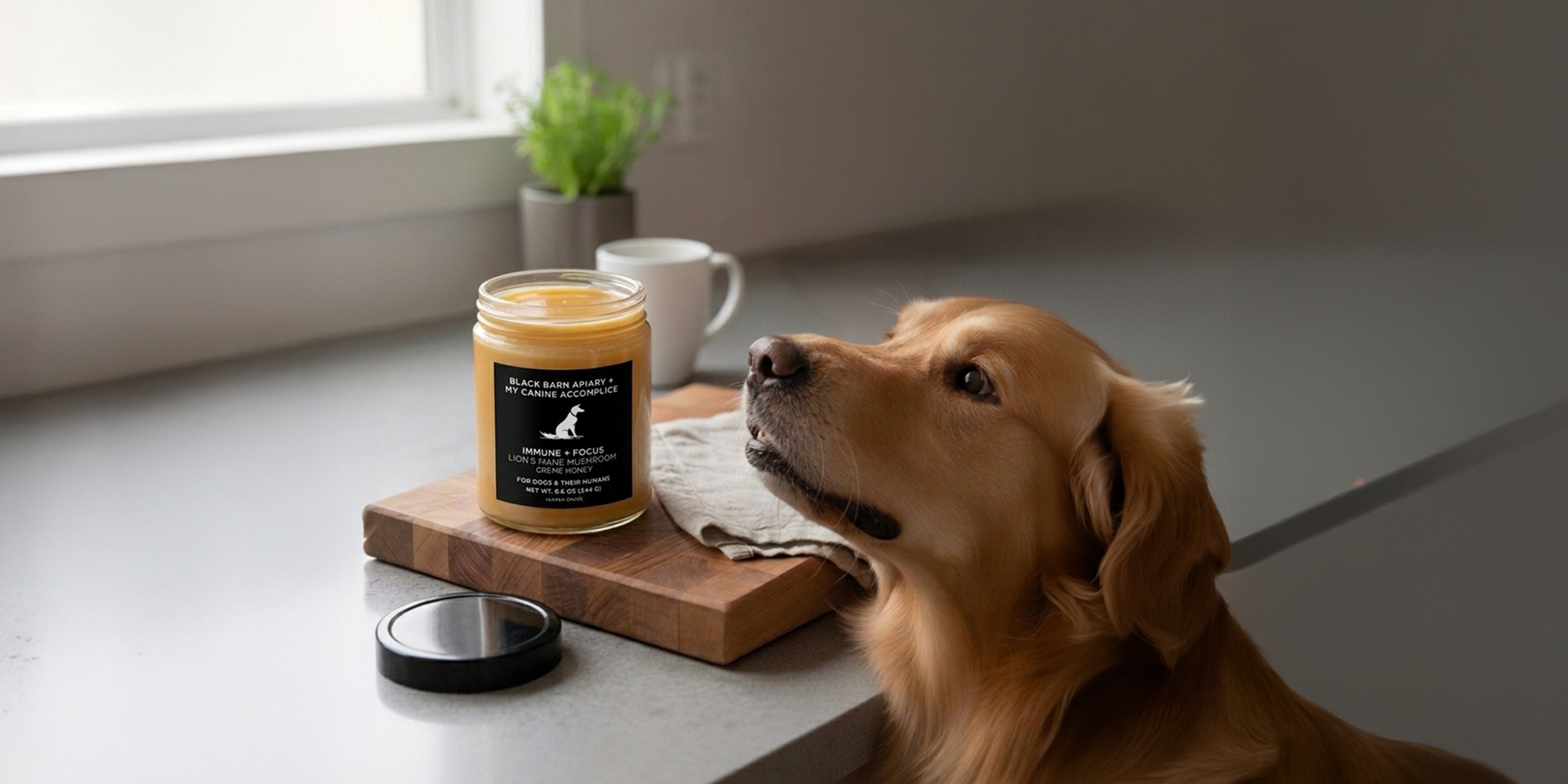 golden-retriever-collection-header.png