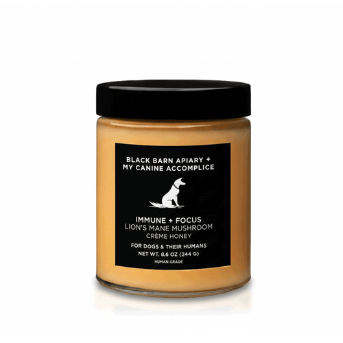 IMMUNE + FOCUS™ LION'S MANE MUSHROOM CRÈME HONEY